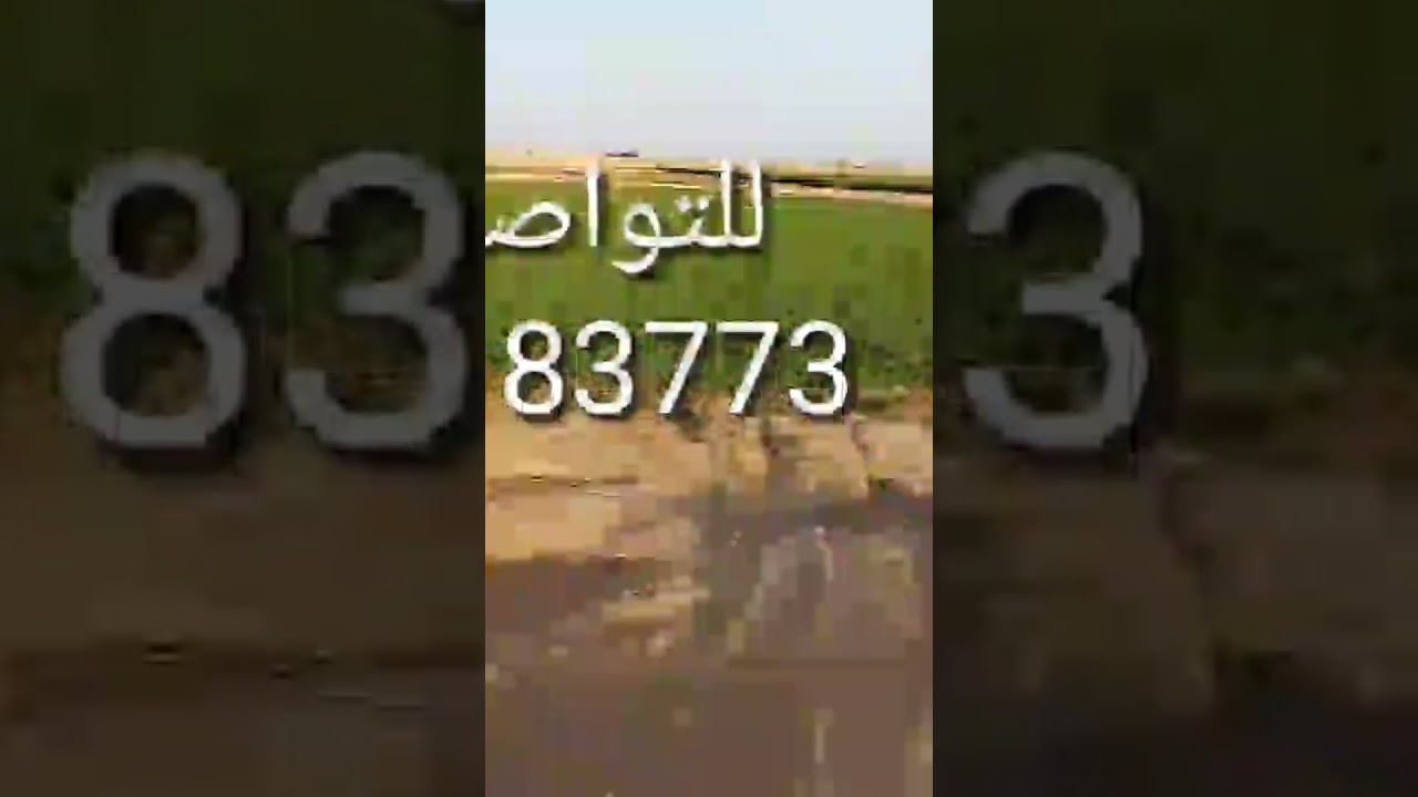 #اراضى 40 فدان على بئر فقط لوحدهم