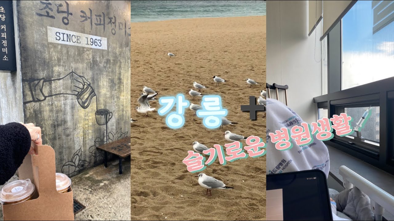 Korea🇰🇷_홍게 먹으러갔다 곰치국도 먹고온 강릉여행 전라도집 그리고 발목부러진사람이되..대회1등 초당커피정미소 컨피네스호텔 후기🙋🏻‍♀️ 골절 수술 브이로그🏨