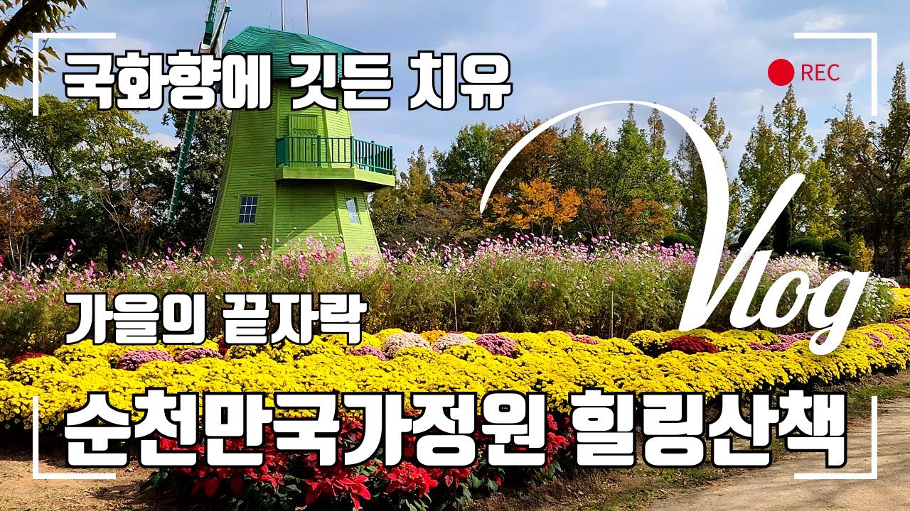 나랑 같이 가요! 순천만국가정원 멕시코정원, 네덜란드정원, 메타세쿼이아길 힐링산책, 2025.11.1