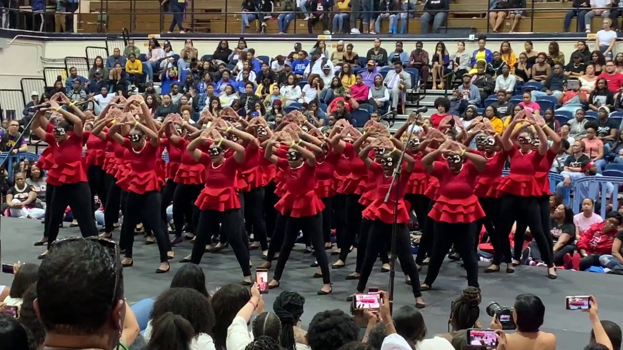 Delta Sigma Theta - AMazing Alpha Mu Chapter🐘🔺 Spr19 NCAT
