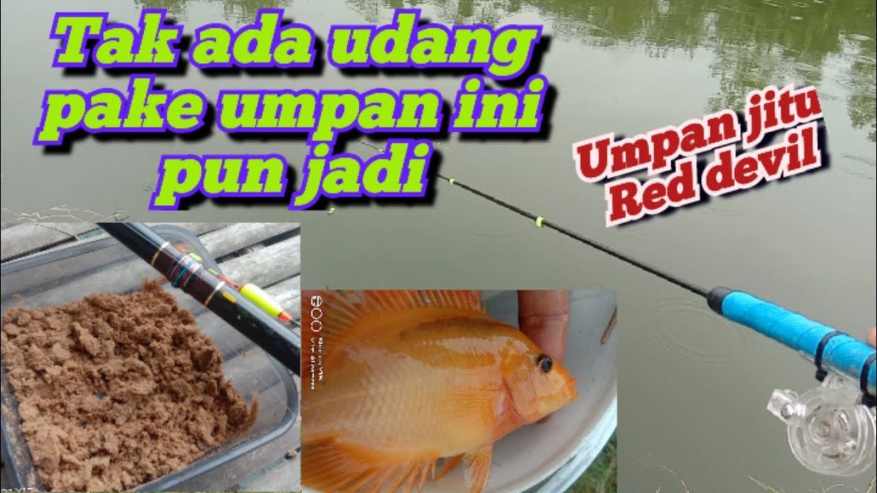 Mancing Red devil&bull;Black devil&bull;umpan pengganti udang&bull;🎣🐠
