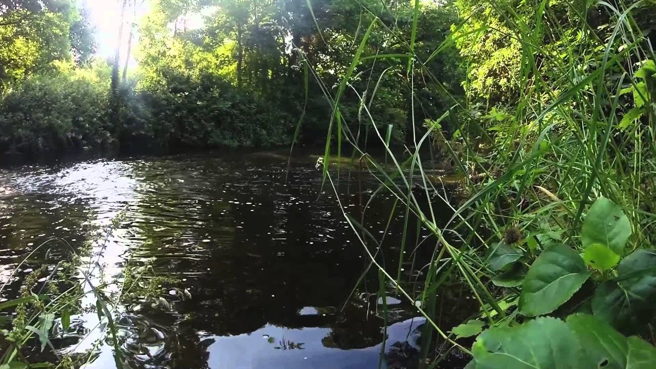 Ultralight fishing for perch and chub- GoPro Hero Fishing