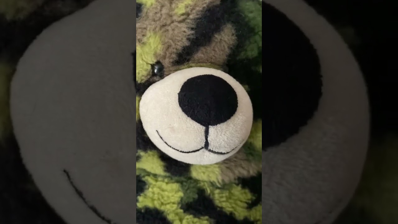 Teddy bear review