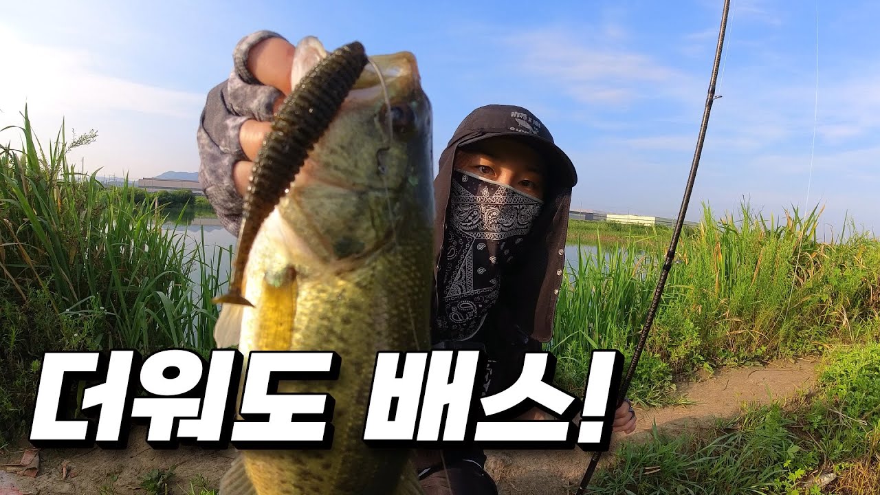1년만에 찾아간 배스 낚시 포인트! 패턴이 완전 똑같아요!!