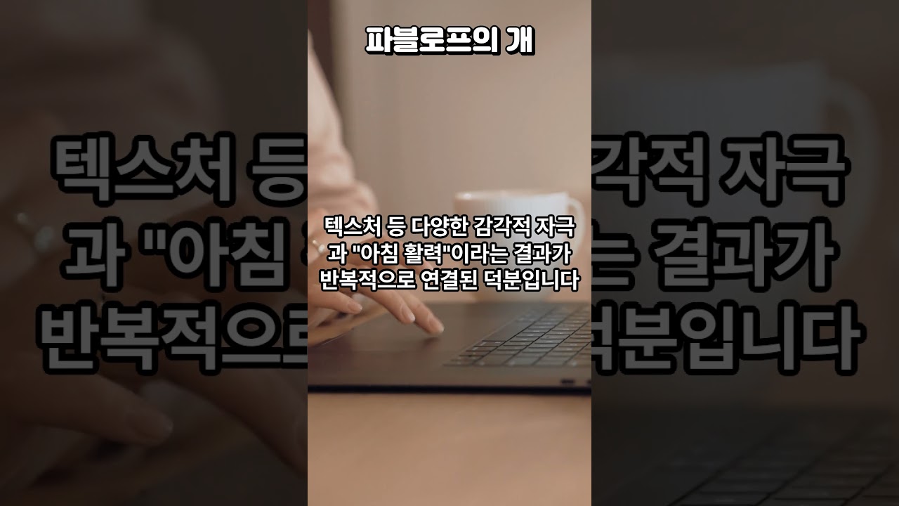 파블로프의 개 습관 형성의 비밀 파블로프 효과로 알아보는 행동 심리학 #동기부여 #지식 #이슈