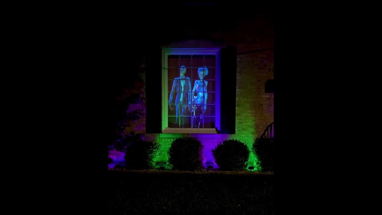 Halloween Projection Window 🧟&zwj;♂️ 🧟&zwj;♀️