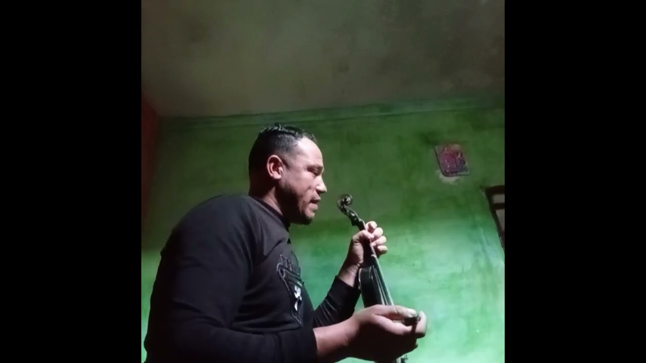 12 فبراير 2026