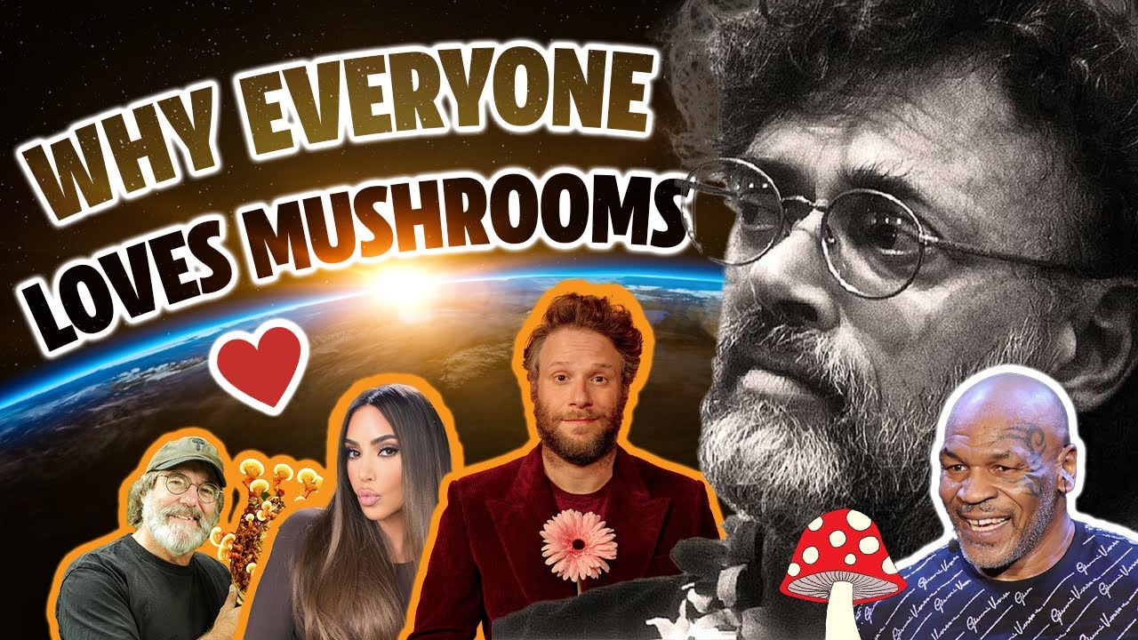 🍄 🚀 Shroom Boom?!? The EPIC Rise Of Mushroom Culture