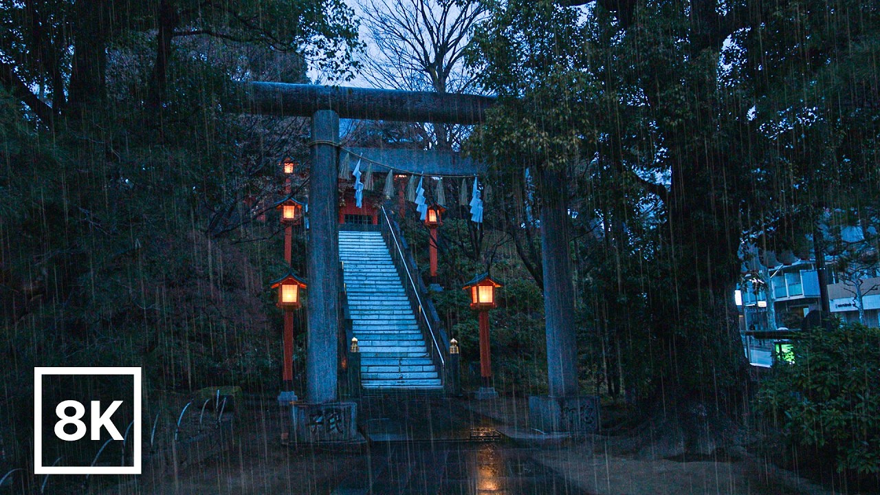 Rainy Dawn Walk in Tokyo Shrines 🌧️ / 8K 60fps HDR / Rain Sounds (No Music) / Binaural Audio