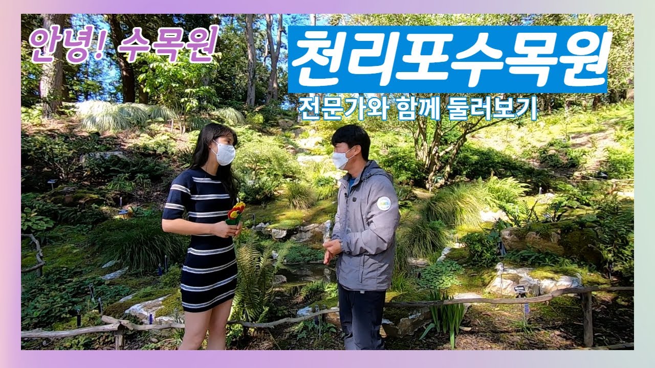[안녕! 수목원] 천리포수목원 (전문가와 함께 둘러보기)
