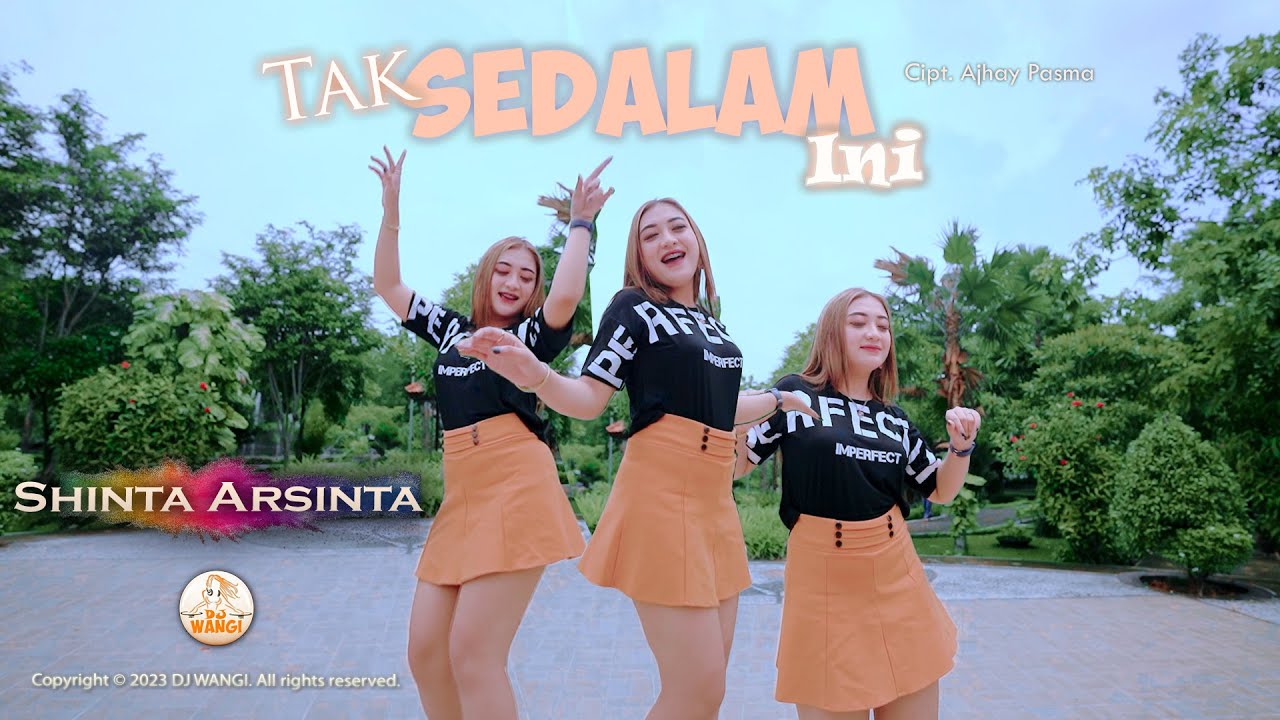 Dj Tak Sedalam Ini - Shinta Arsinta (Official Music Video)