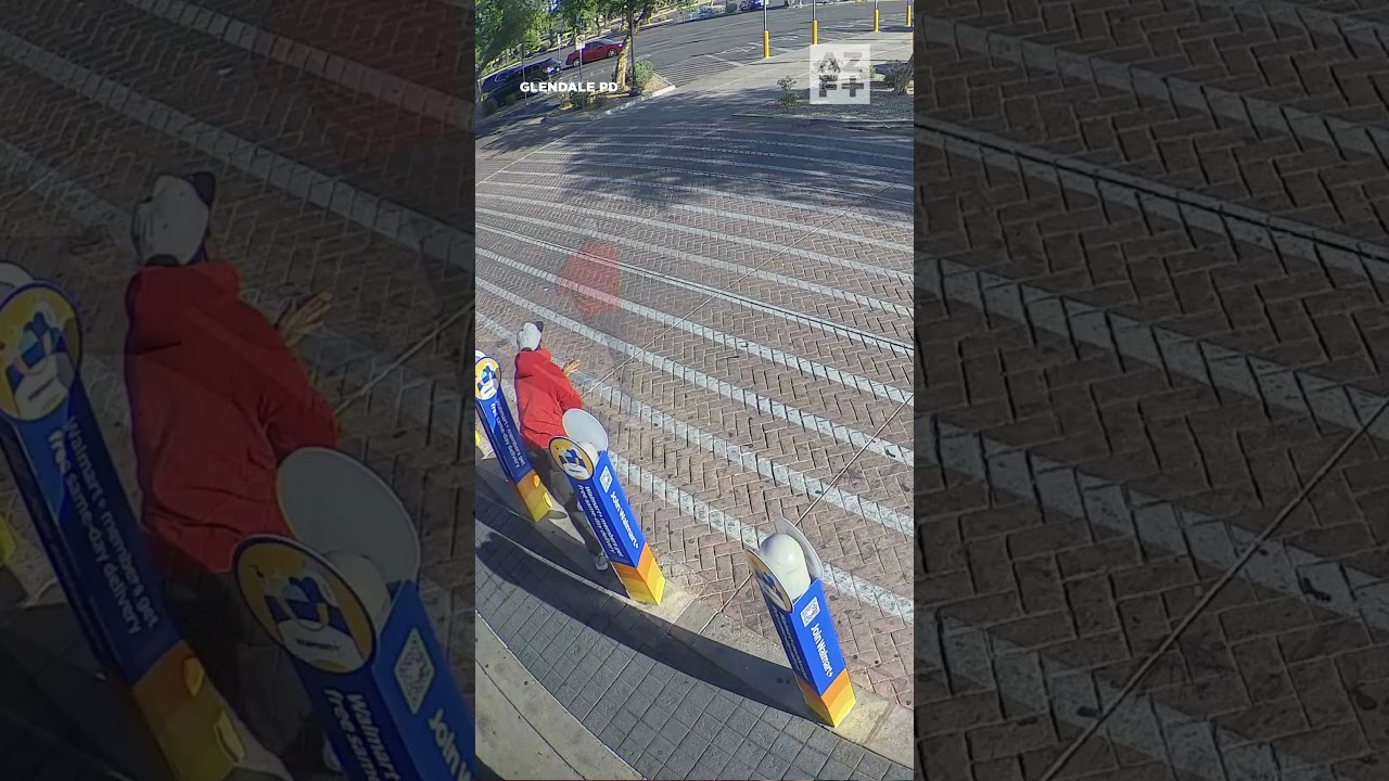 Полиция выследила вора, выхватившего сумку