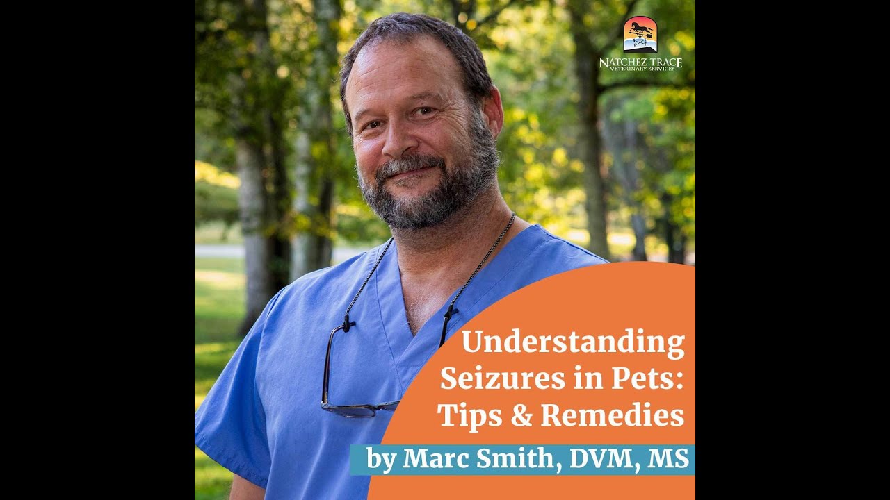 Understanding Seizures in Pets: Tips & Remedies by Marc Smith, DVM, MS