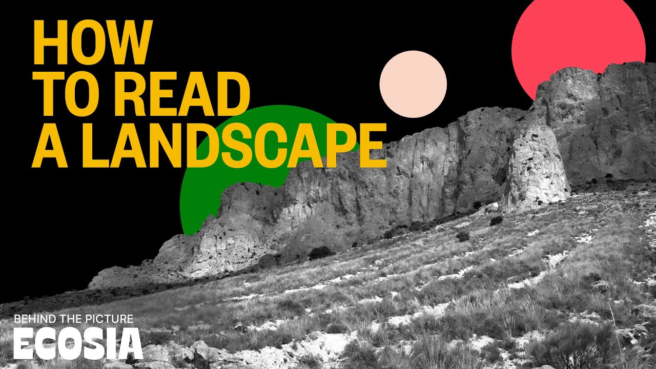 How to read a landscape