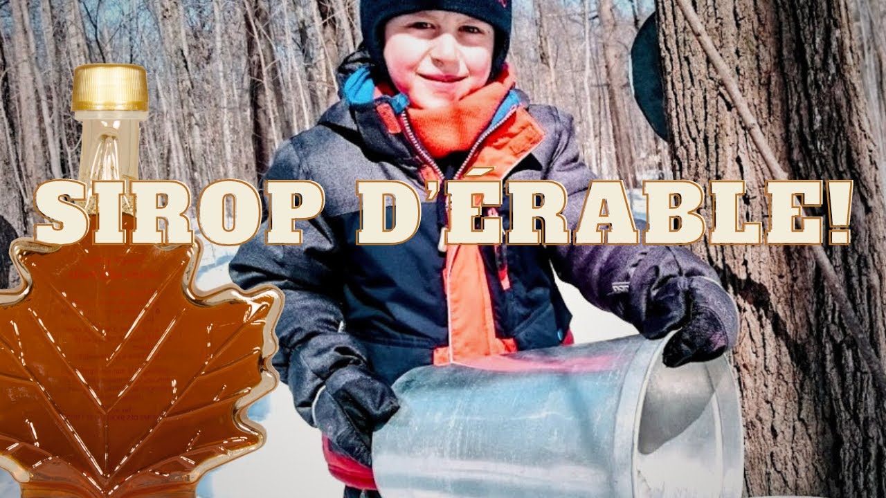 Comment Faire Du Sirop D'Érable : Cabane À Sucre Québécoise Traditionnelle