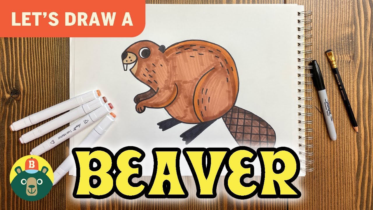How to Draw a BEAVER! - [Episode 28]