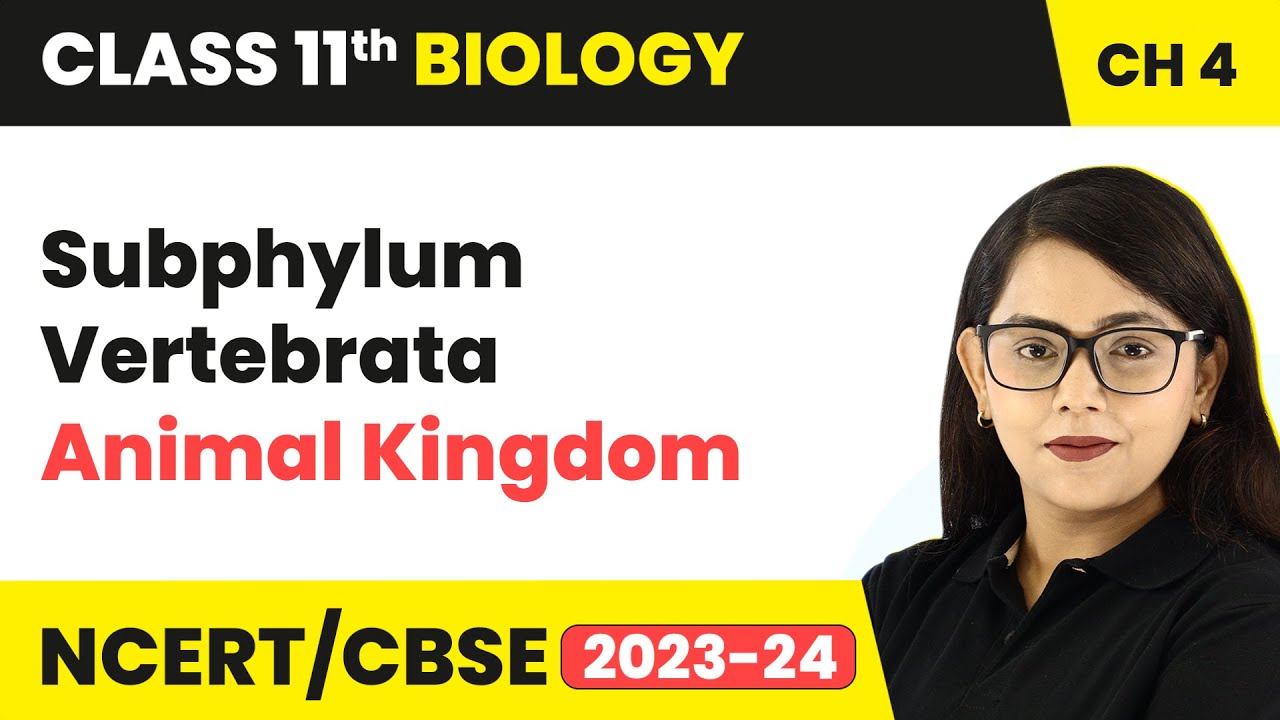 Subphylum Vertebrata - Animal Kingdom | Class 11 Biology Chapter 4 | NCERT/CBSE