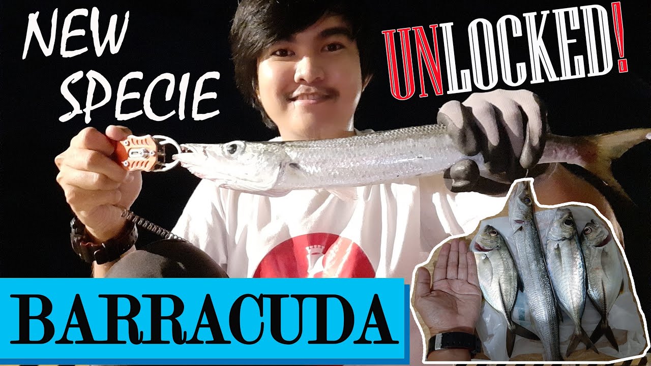 New Specie Unlocked | BARRACUDA | Pier Night Fishing Philippines