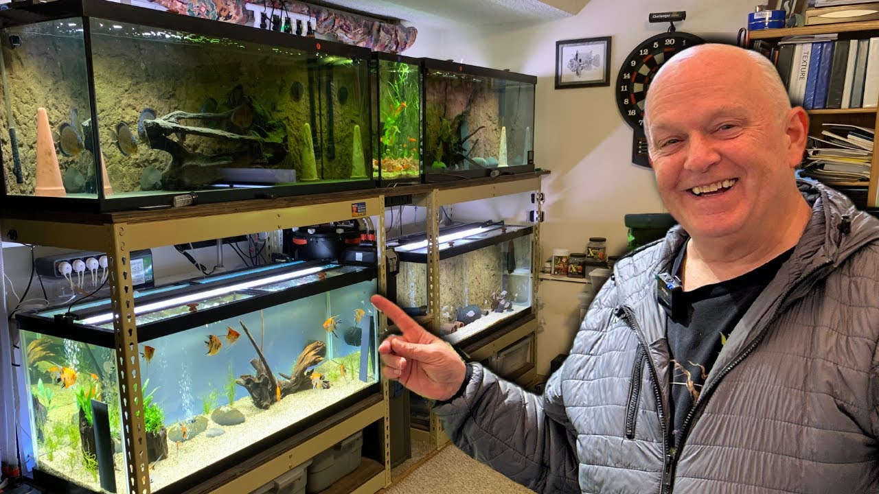 Secret Look Into Dean's Office Fish Room