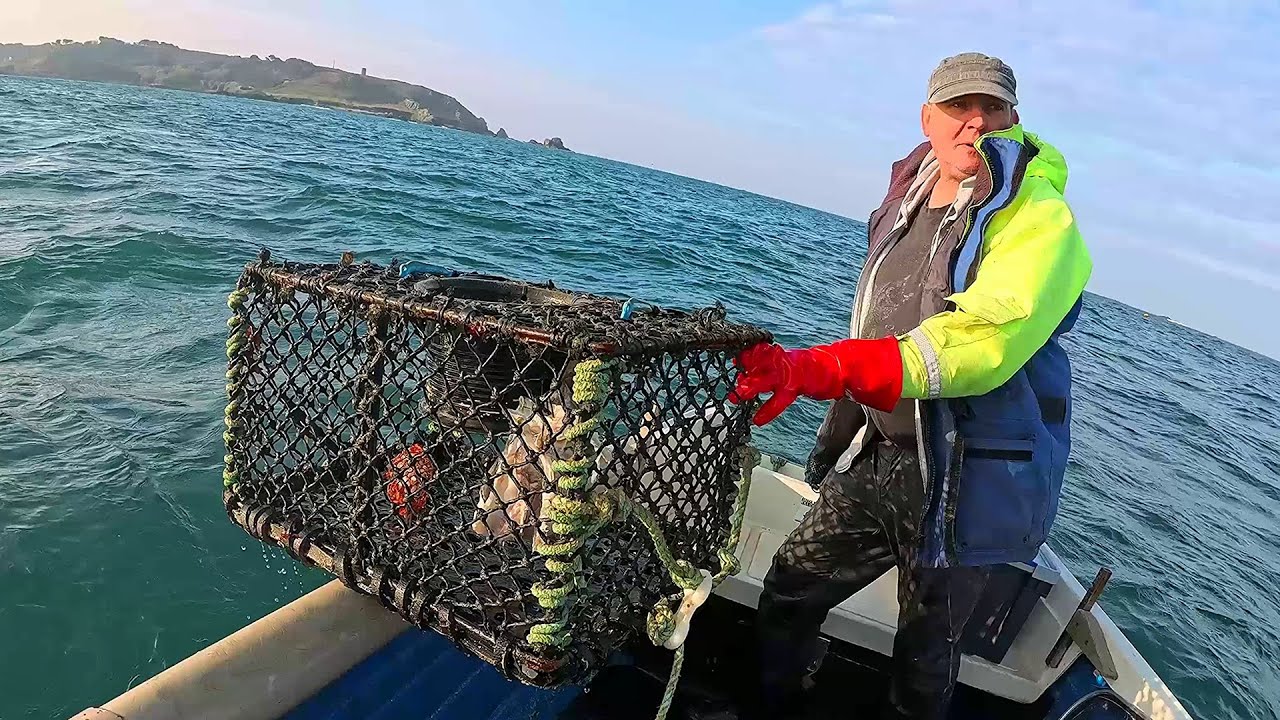 Let's Go Get Some Crab
