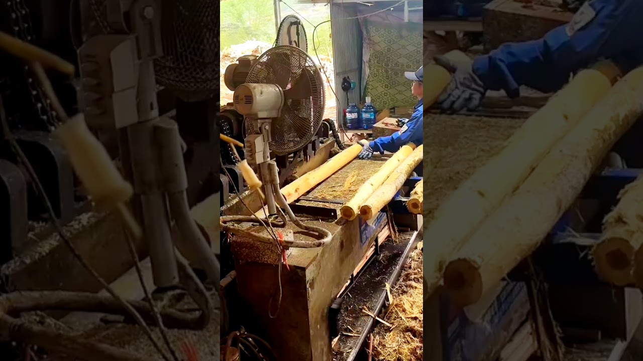 #wood