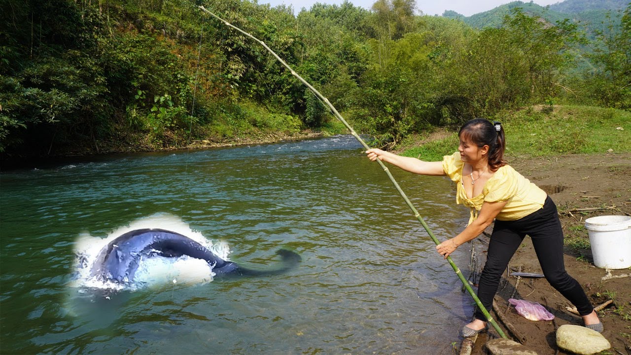 Best Video Hook Fishing | Amazing Hook Fishing - Harvesting Fish To Sell