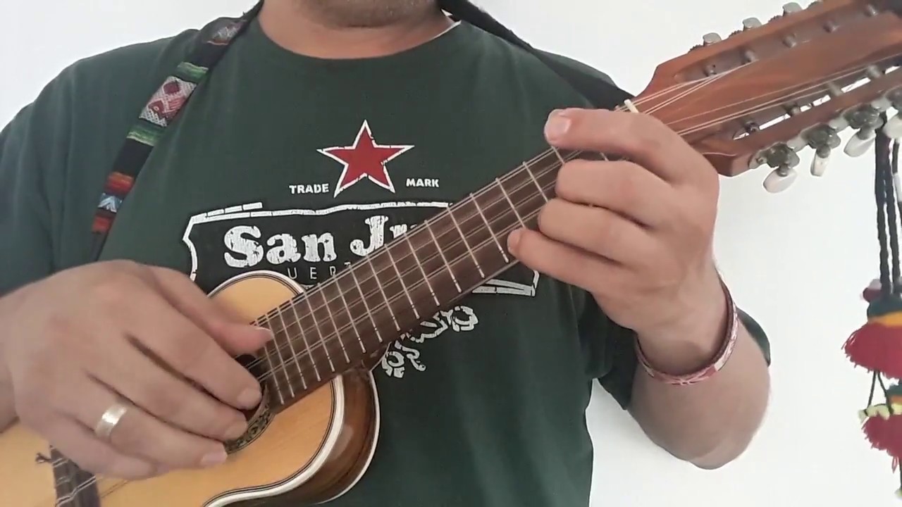 Carnavales Ayacuchanos Tradicionales - solo charango