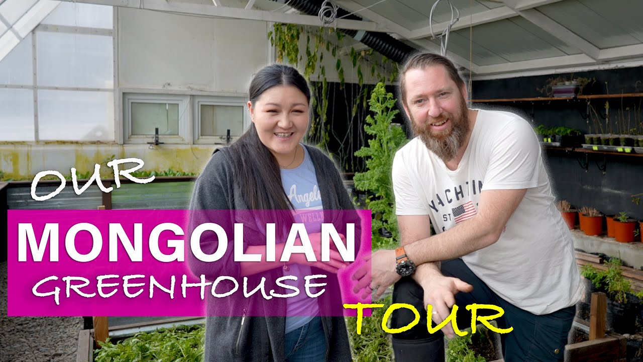 Экскурсия по зимней теплице в Монголии | Что можно выращивать при температуре -40 градусов