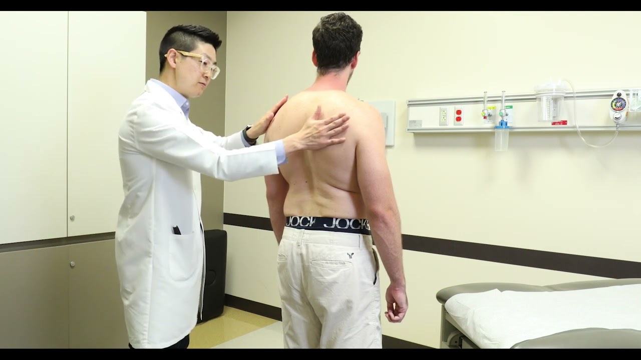 MSK Low Back Exam Only   English