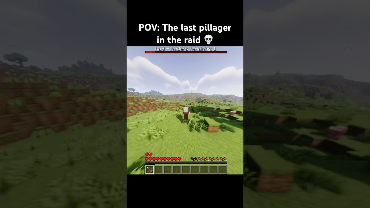 The last pillager 