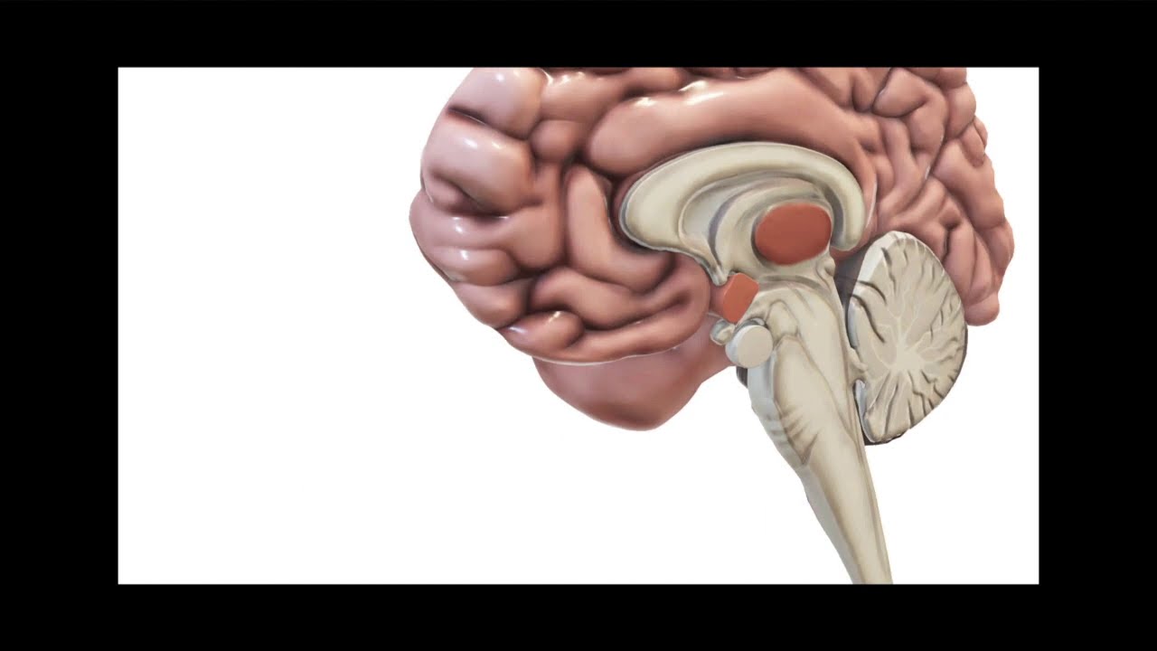 Kisspeptin receptor agonist and female reproductive disorders