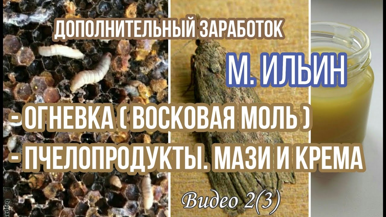 Огневка (восковая моль). Пчелопродукты. Мази и крема. Получение, переработка. Максим Ильин, пчеловод