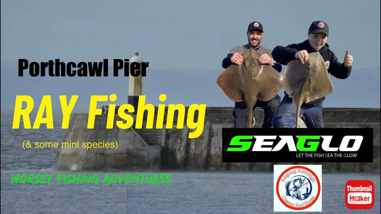 Ray fishing on Porthcawl Pier (small eyeds, a bonus blonde and some minis). UK Sea fishing.