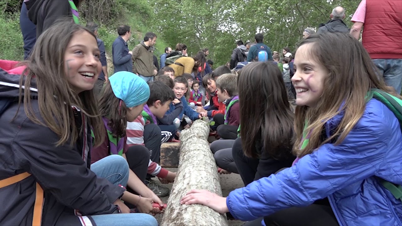L'arbre de Maig presideix la plaça Verdaguer de Folgueroles