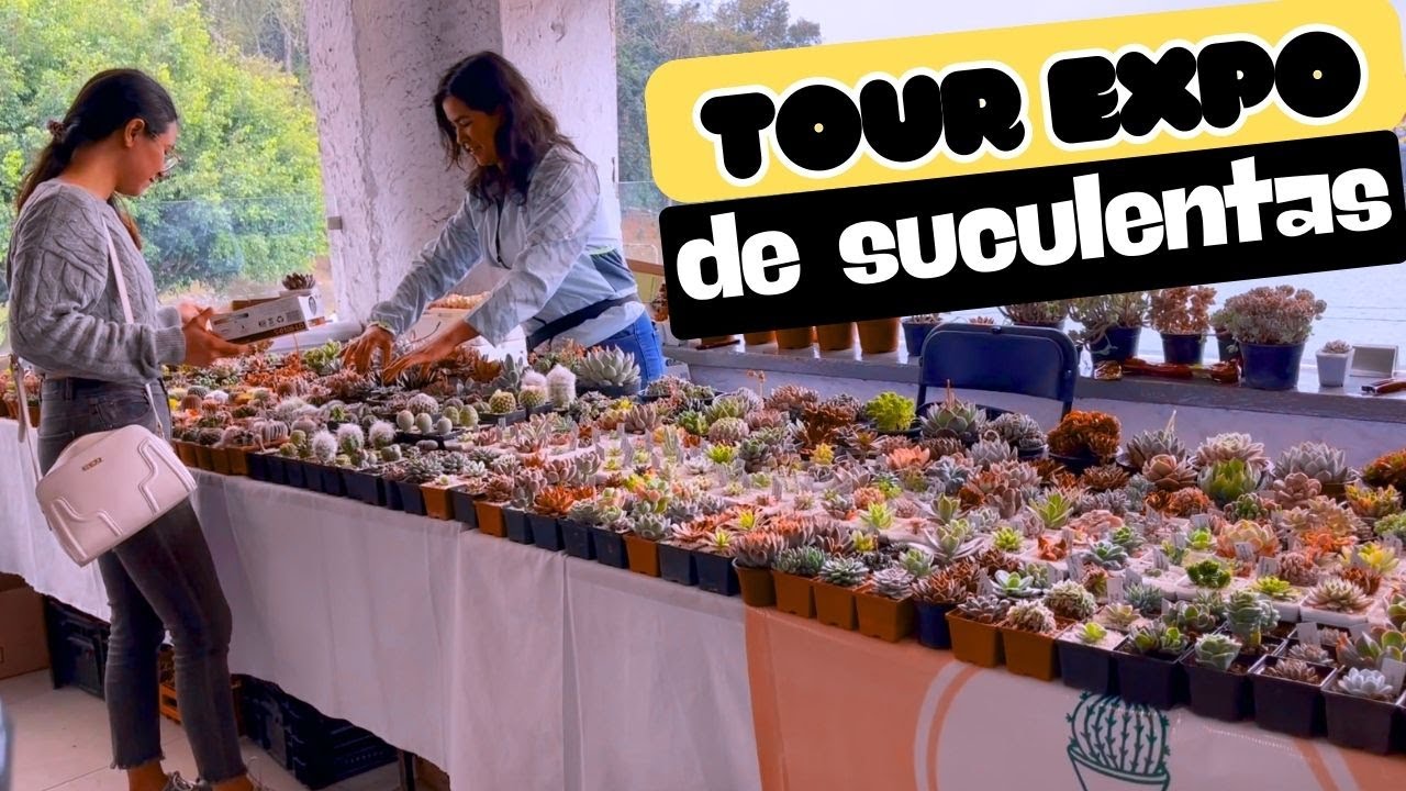 TOUR Por Una Expo De SUCULENTAS - Te Vas a Enamorar De MUCHAS