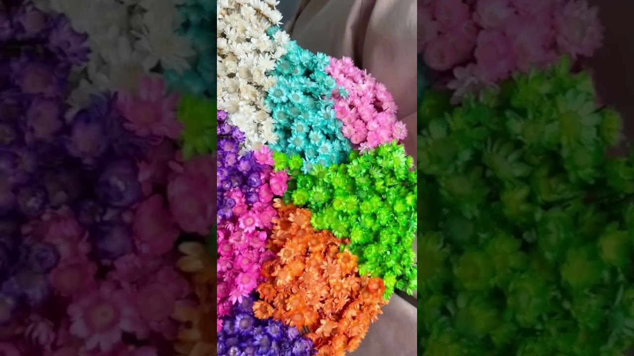 Glixia dry flowers for gifts interior decor. 💐#glixia #flowers #gift #dryflower