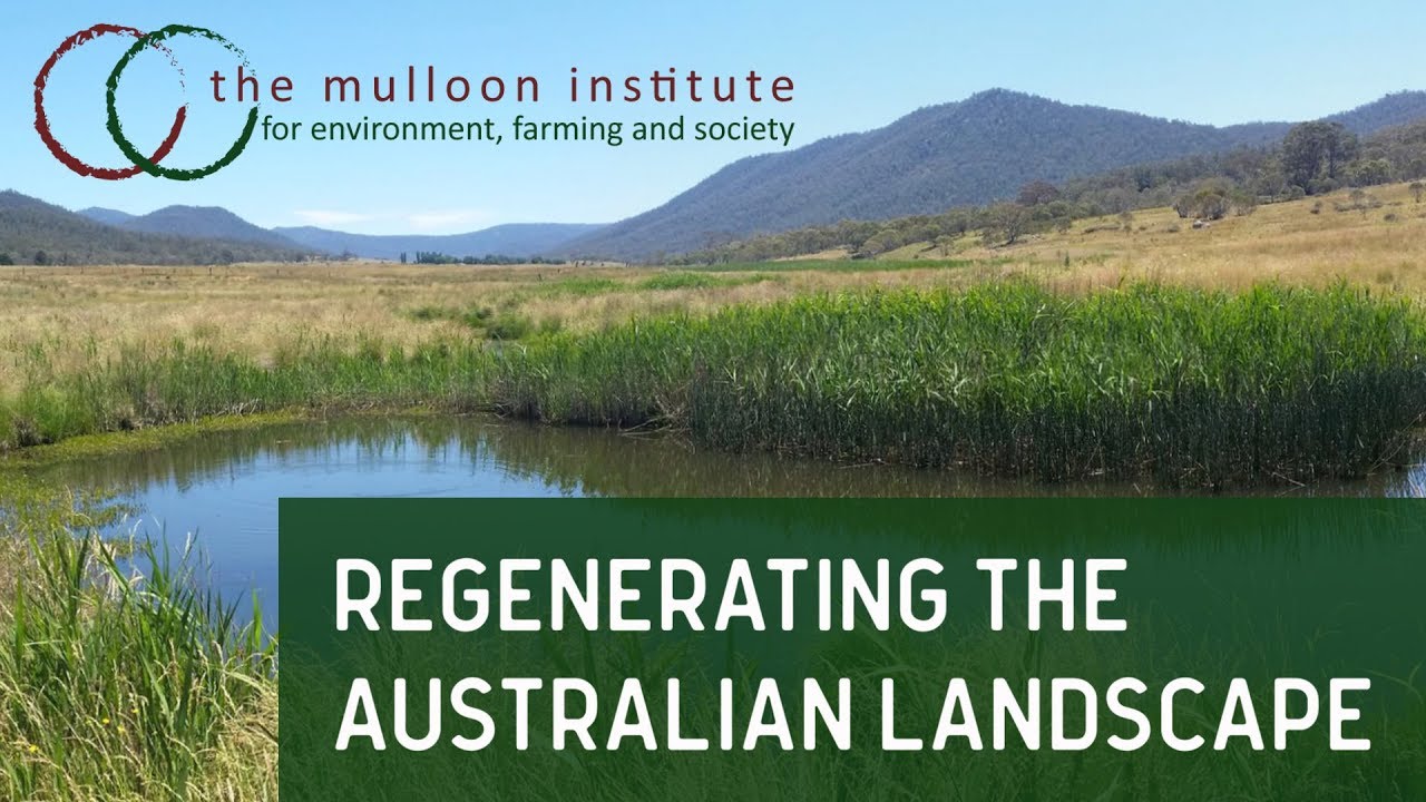 The Mulloon Institute Landscape Regeneration