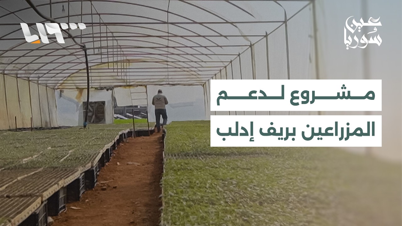 رغم انقطاع التمويل ومحدودية الإمكانيات.. جمعية أكاديا الزراعية تواصل دعم مزارعين بريف إدلب