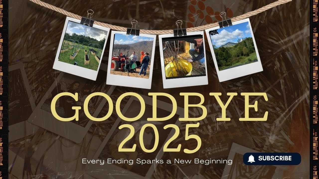 This Is What 2025 Looked Like On Our Homestead