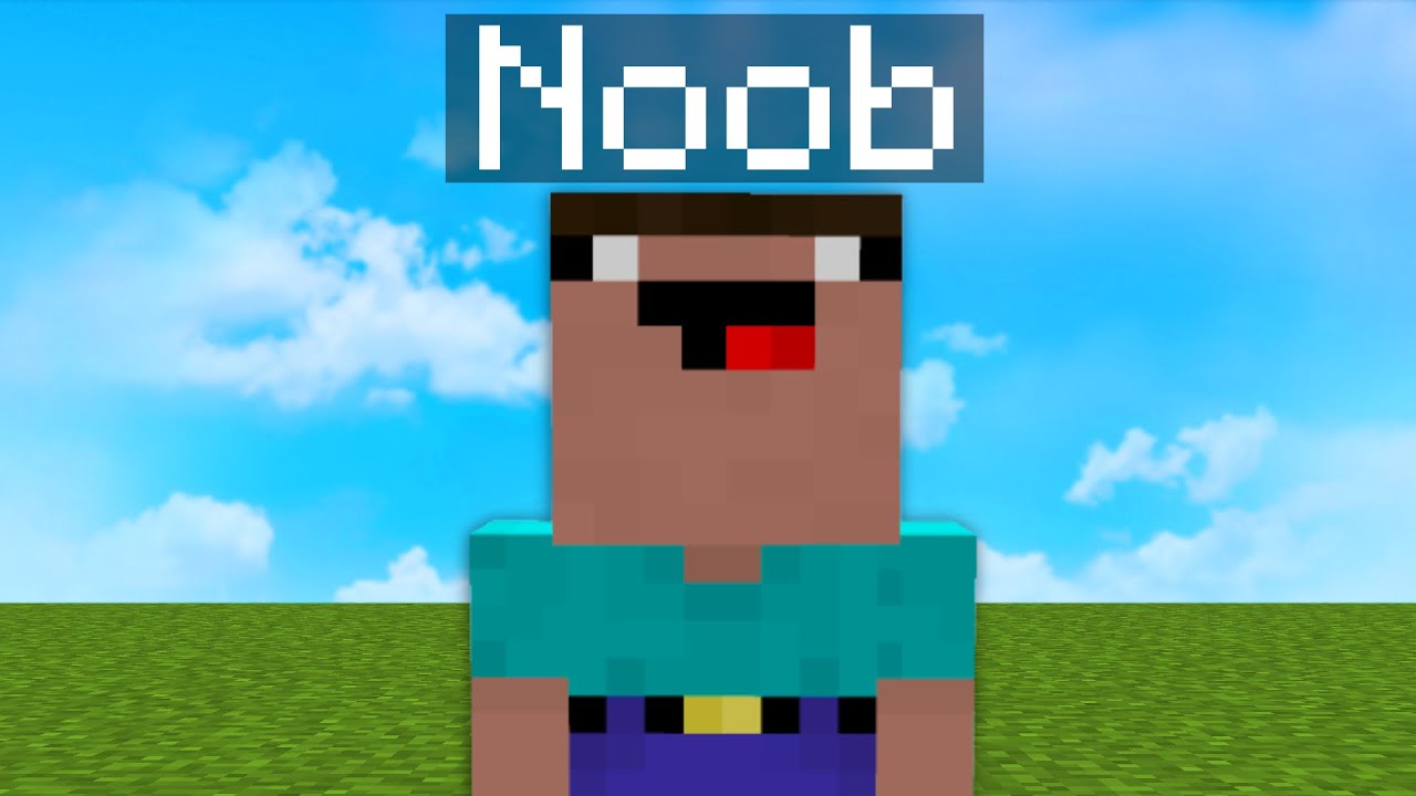 I Challenged the Hive's Biggest Noob