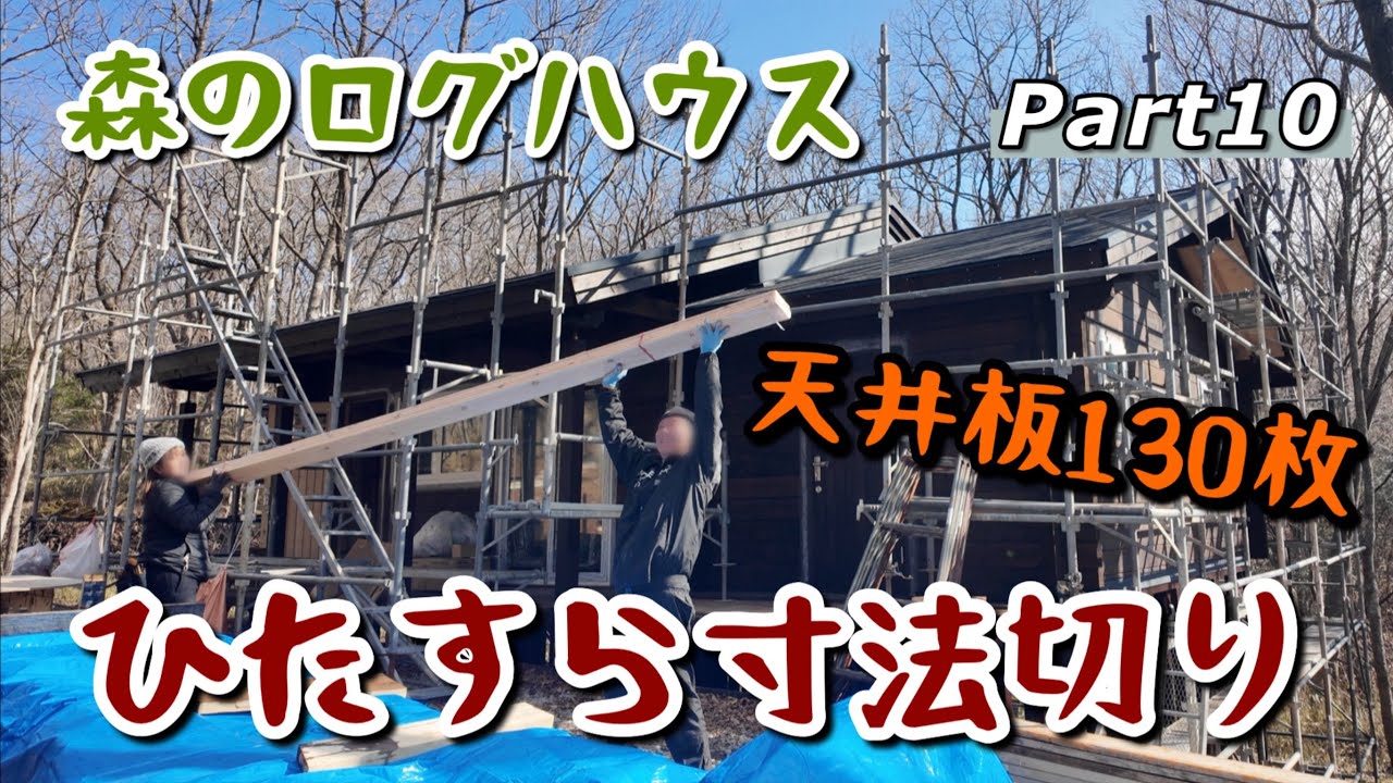 【家族で別荘作り #129】森のログハウス ＜天井板〜ひたすら寸法切り＞断熱作業が完了し、残りの天井板を全て寸法切りしました！