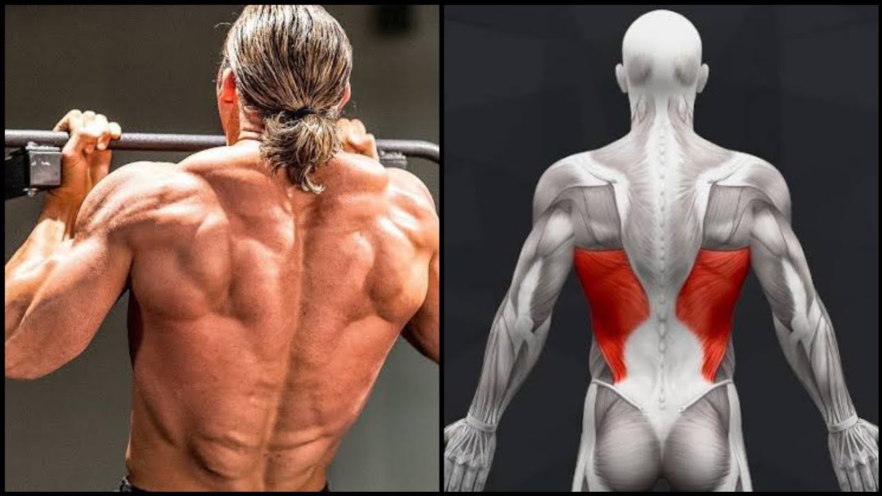 O MELHOR TREINO DE PUXAR PARA O SHAPE E MASSA MUSCULAR
