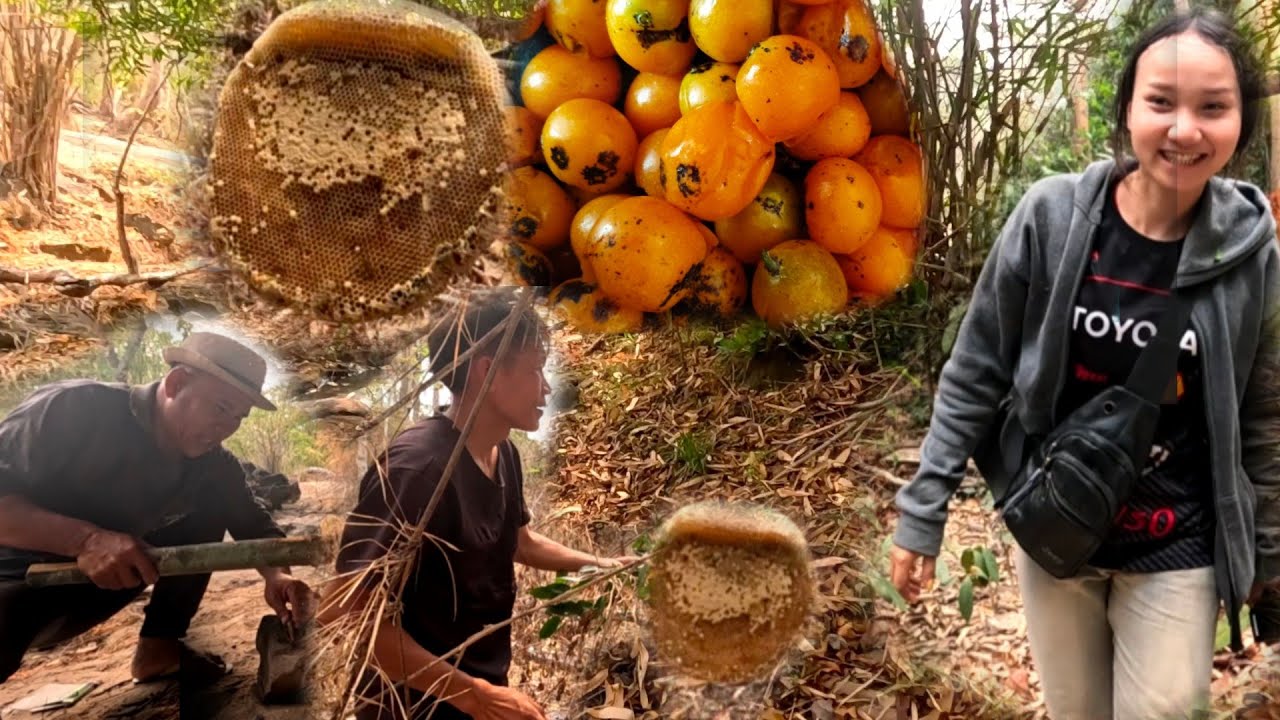 ້ຫາກິນຕາມປ່າ//หากินตามป่า Dong Una