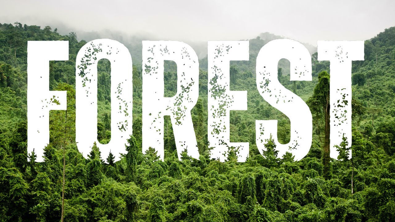Create Stunning Forest Text Effects Animation in Canva | Nature-Inspired Typography