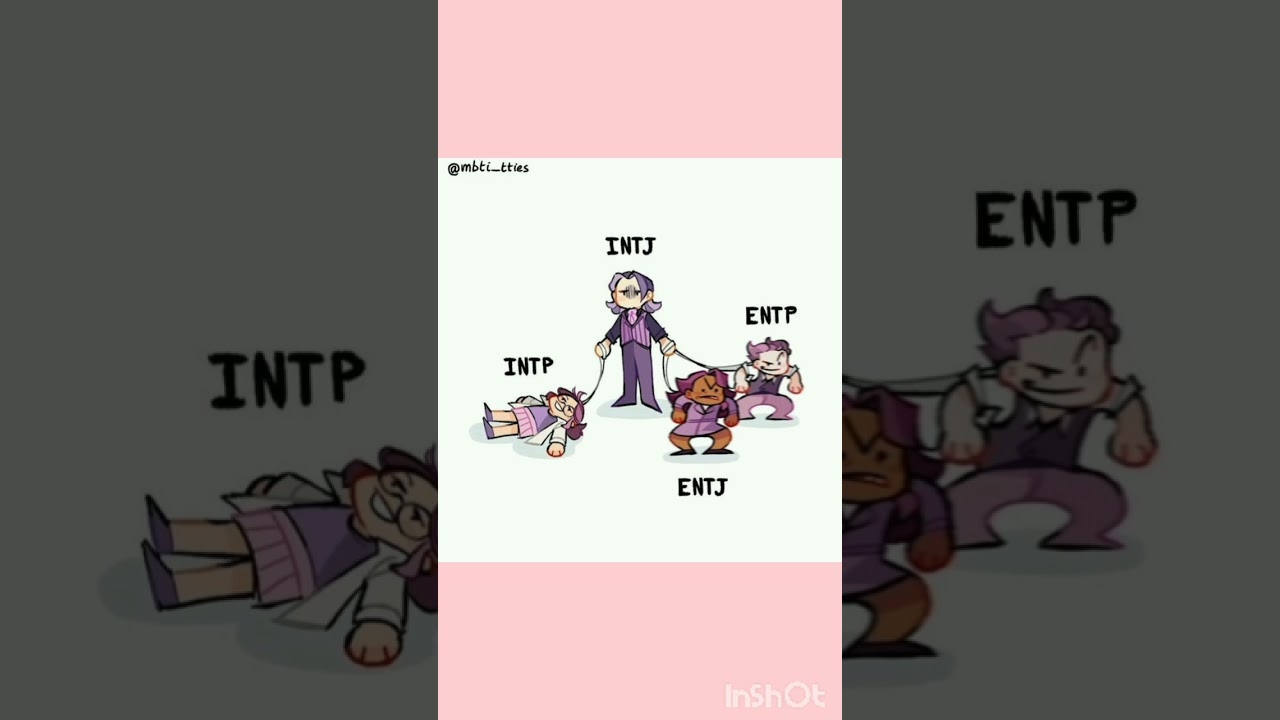 mbti PERSONALITIES memes 🌝😂
