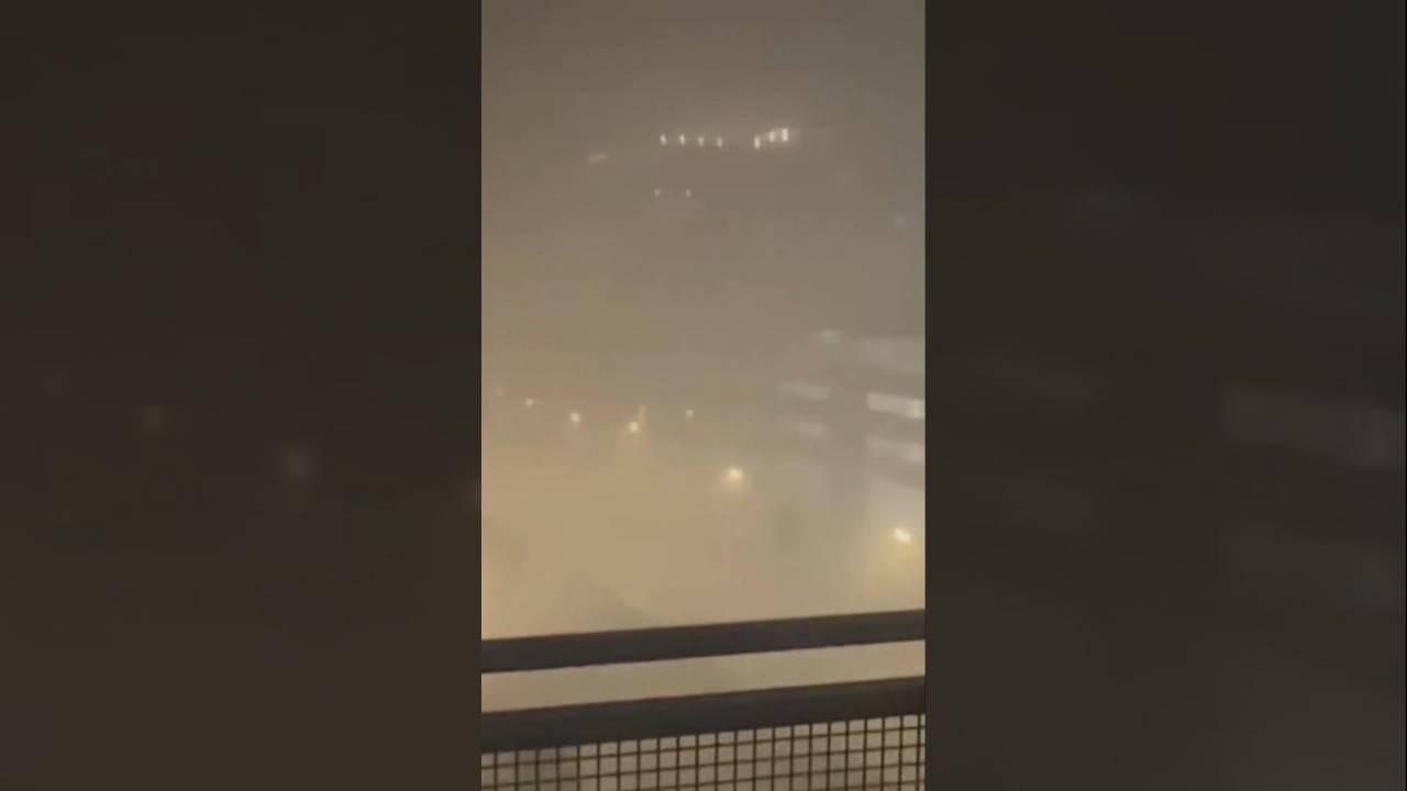 🔴Footage shows severe storms brought strong winds across the Washington, D.C