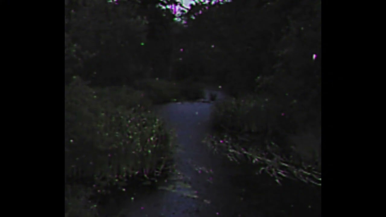 { FREE FOR PROFIT } ambient bones + greaf + weirdcore type beat “ together we are small “