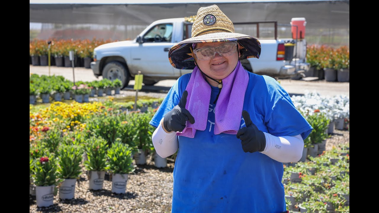 Matsuda’s Finds Nursery Workers Amid Labor shortage