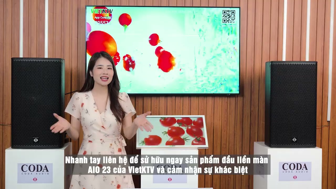 Đầu Karaoke kèm màn hình VietKTV AIO 23