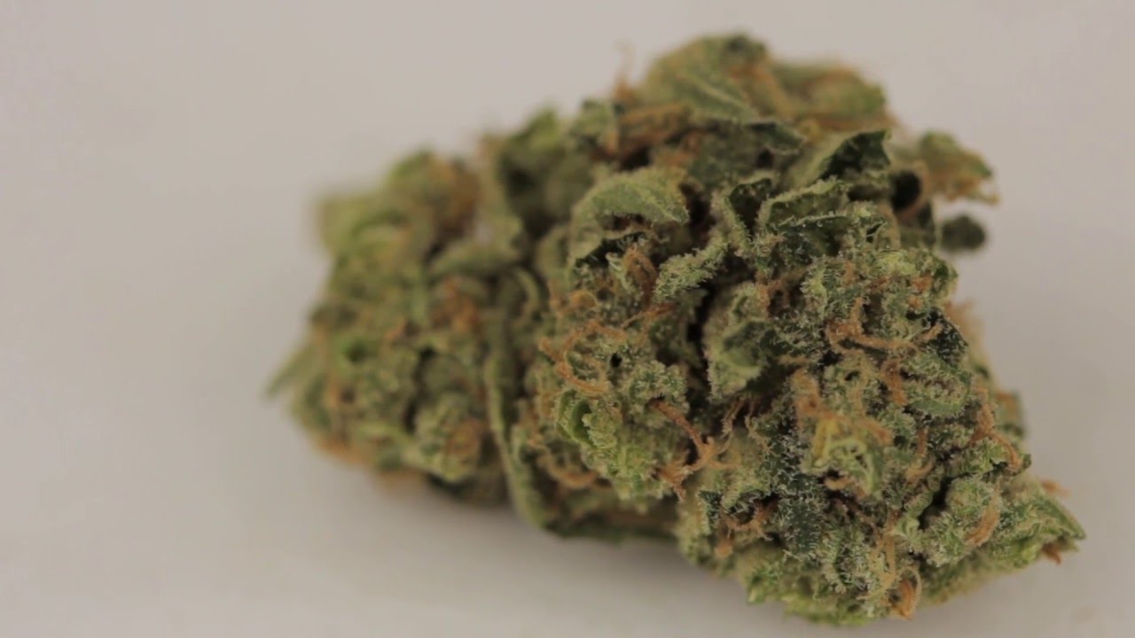 Durban Poison